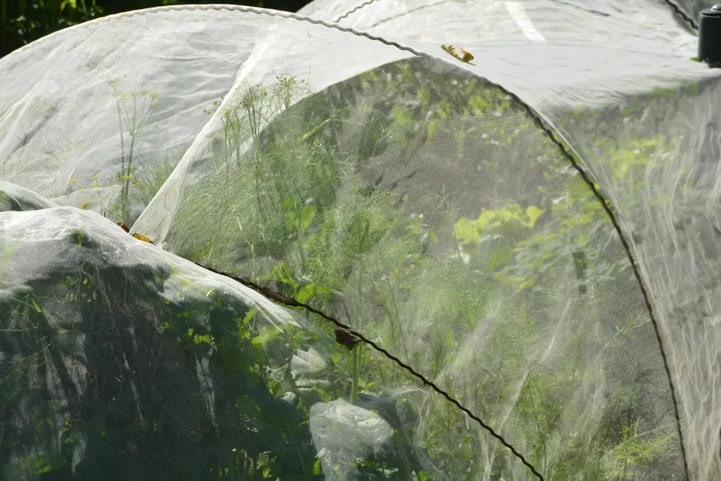 Jak zrobić tunel foliowy w ogrodzie