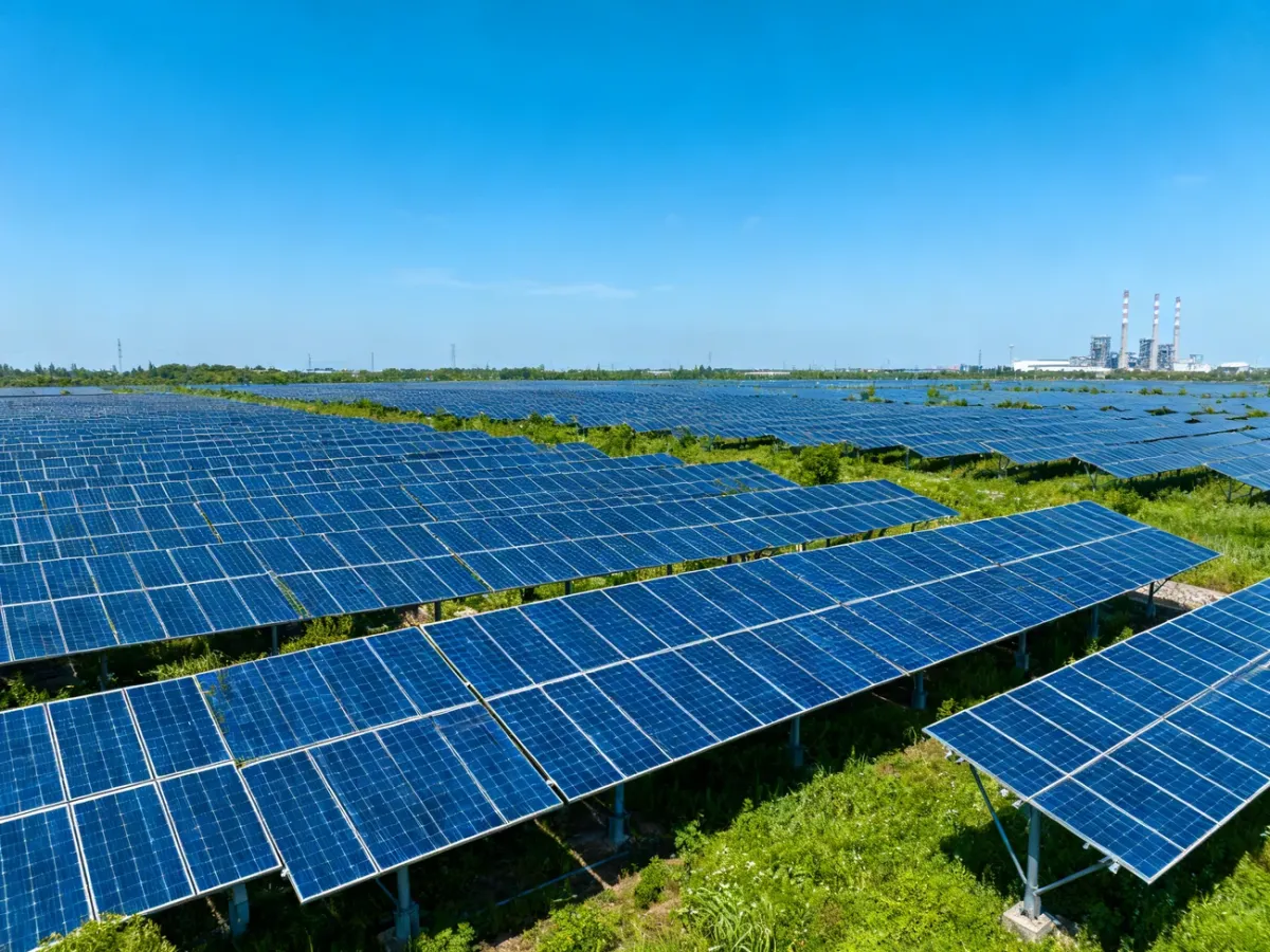 Panele fotowoltaiczne DMEGC Solar na dużej farmie słonecznej